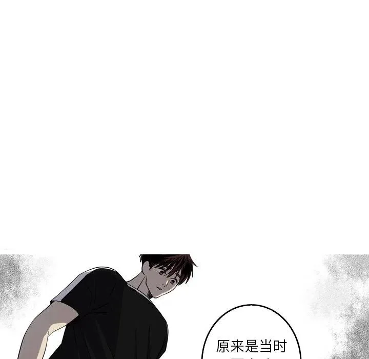 41 第75页