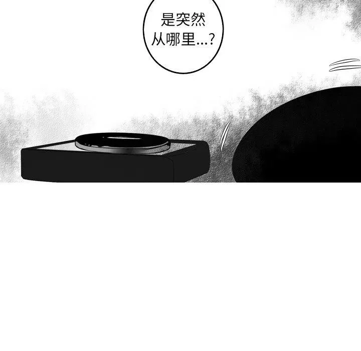 41 第80页