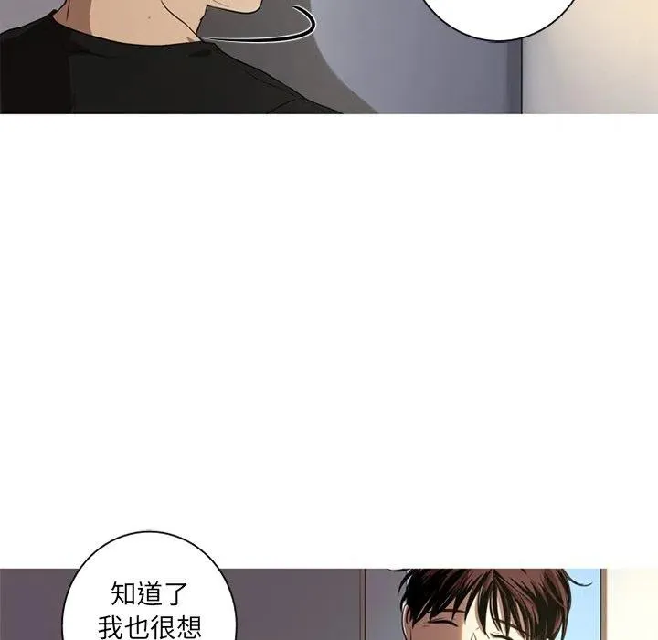 3 第51页