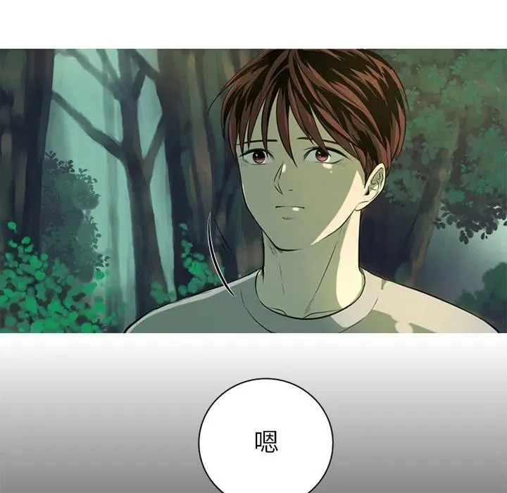 4 第17页