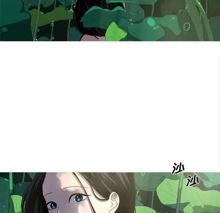 5 第8页
