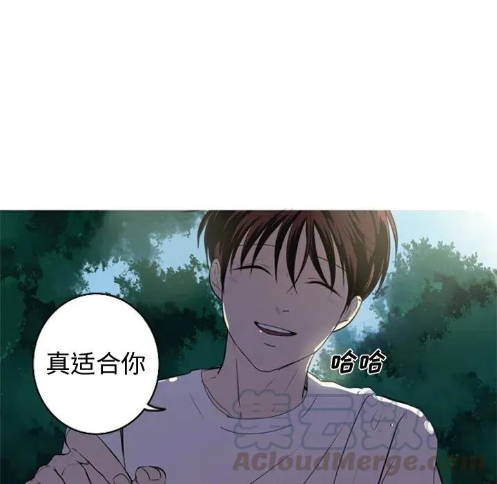 5 第13页