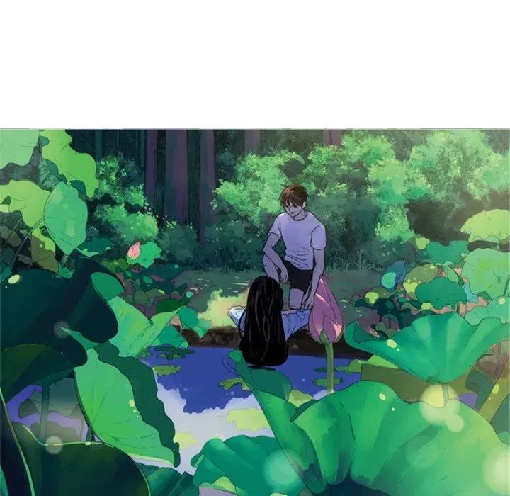 5 第17页