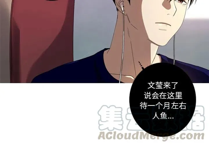 6 第4页