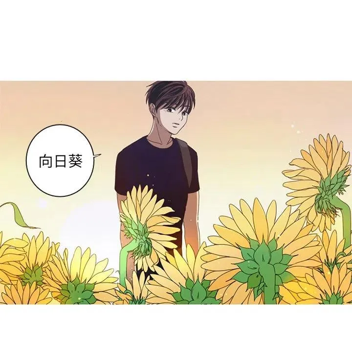 6 第78页