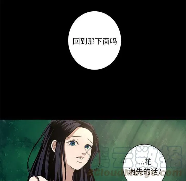 7 第31页