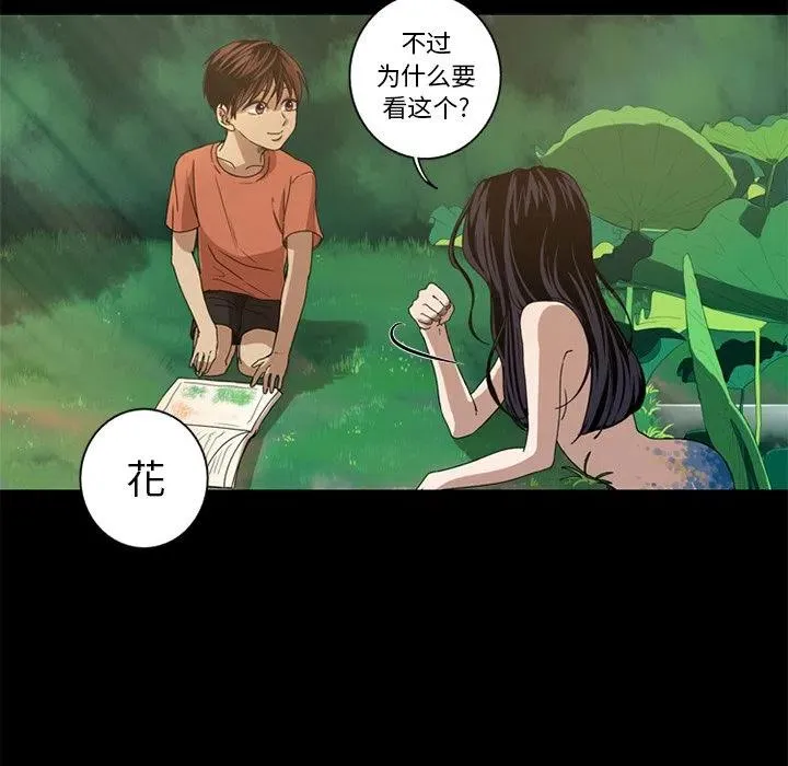 7 第44页