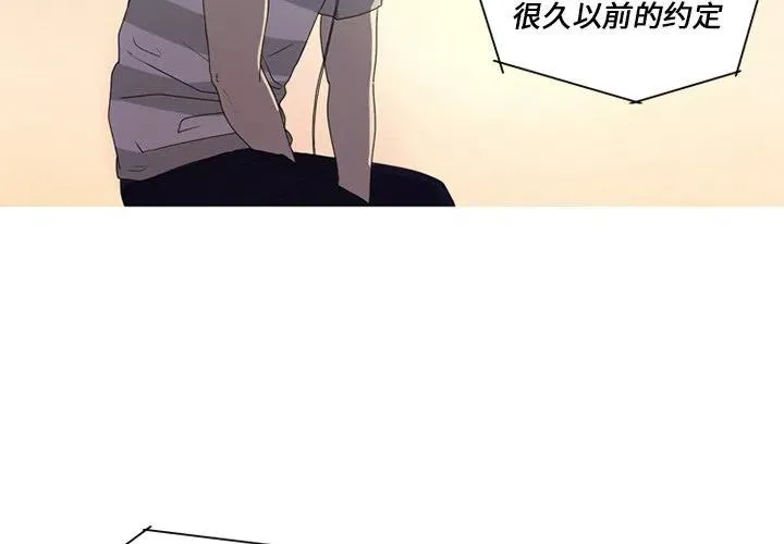 8 第3页