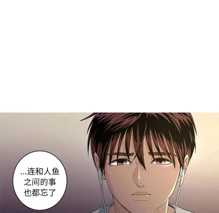 8 第8页