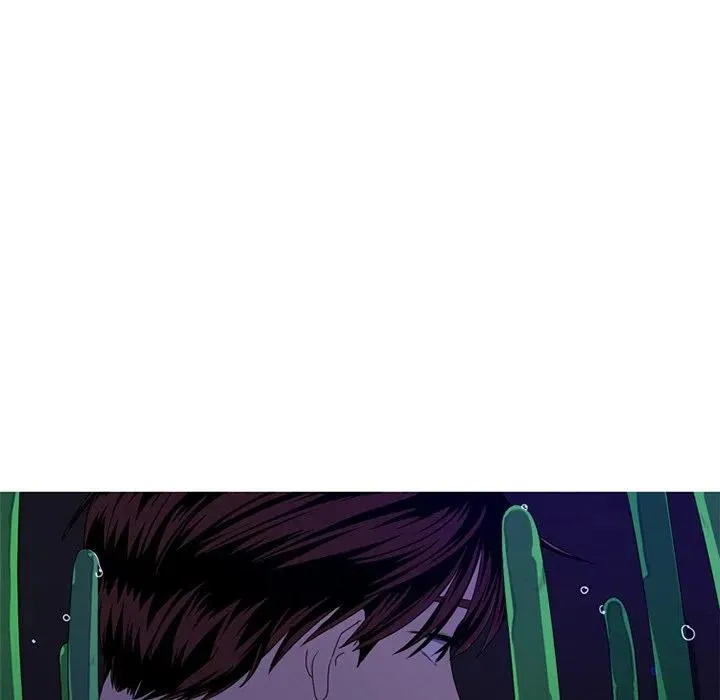 8 第14页