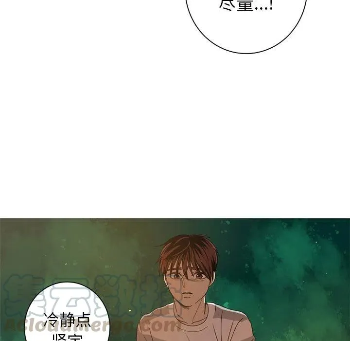 8 第43页