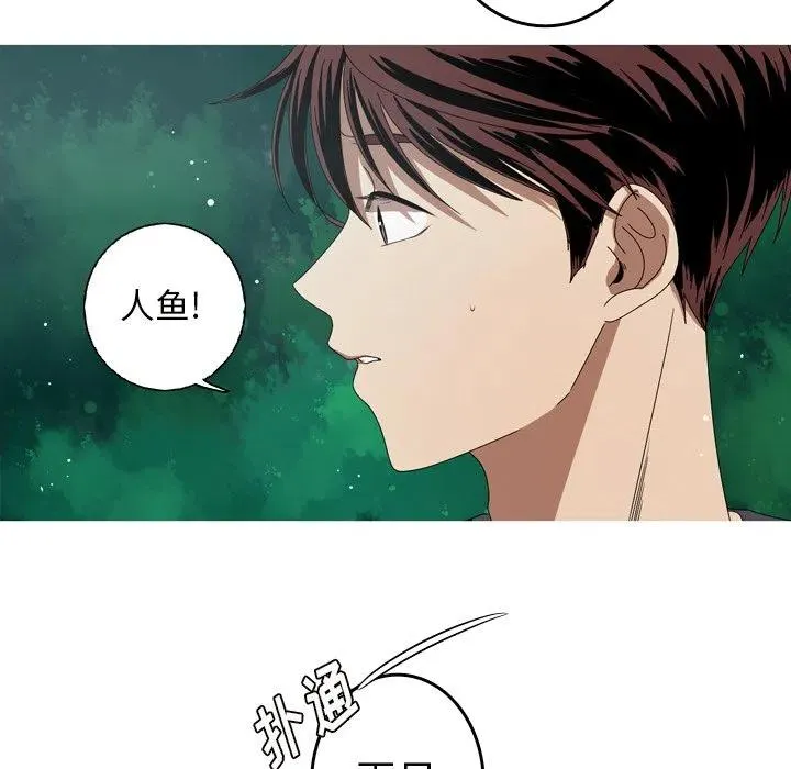 12 第17页