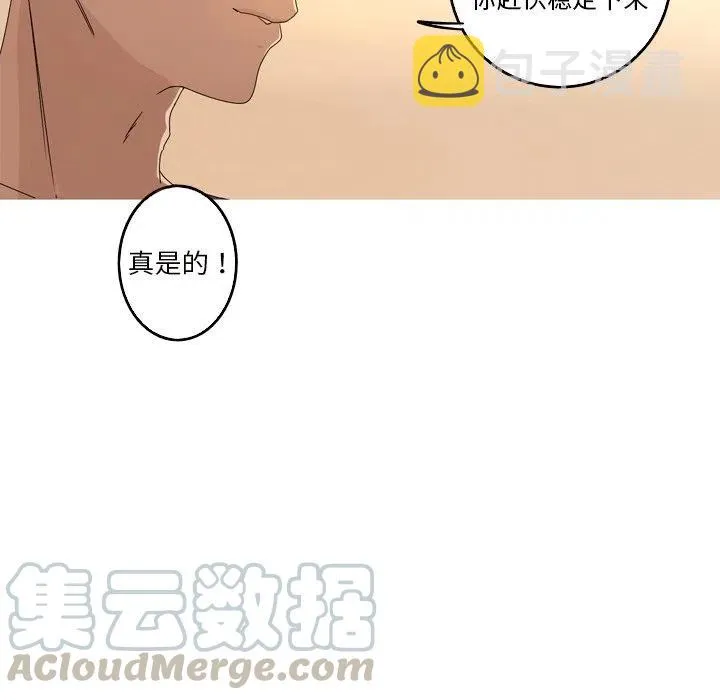 13 第16页