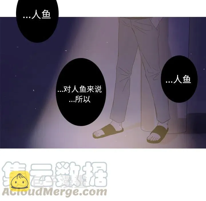 13 第67页