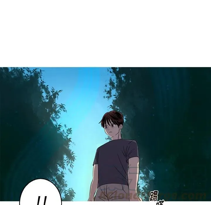 15 第55页