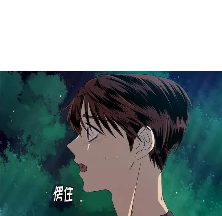 16 第41页