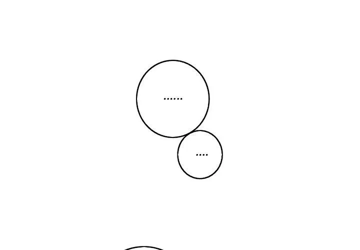 17 第3页