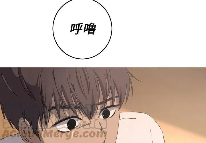17 第4页