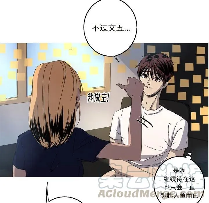17 第64页