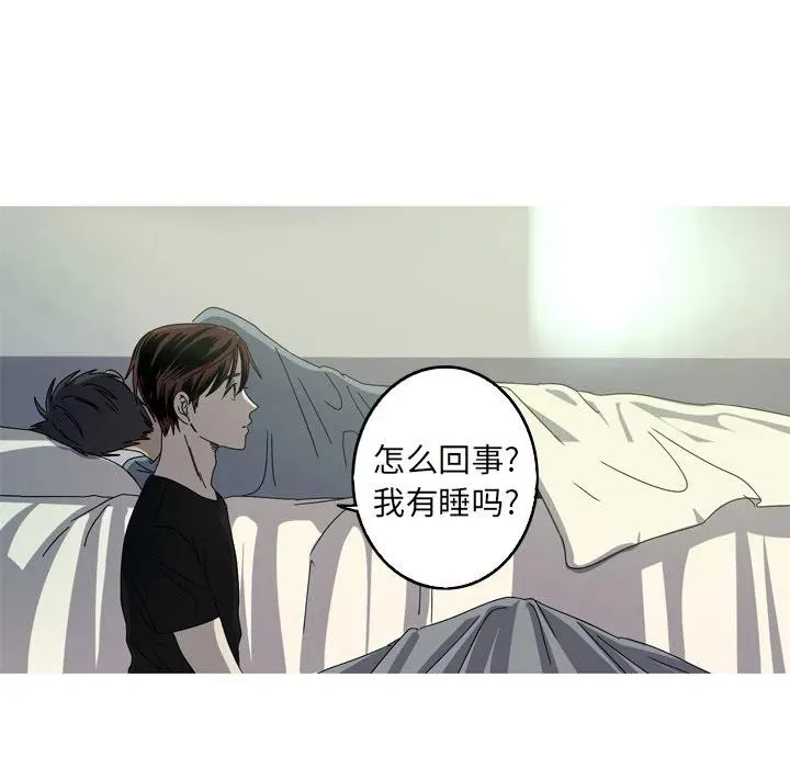 22 第81页