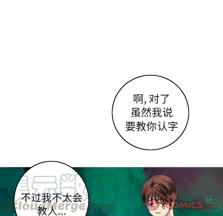 26 第28页