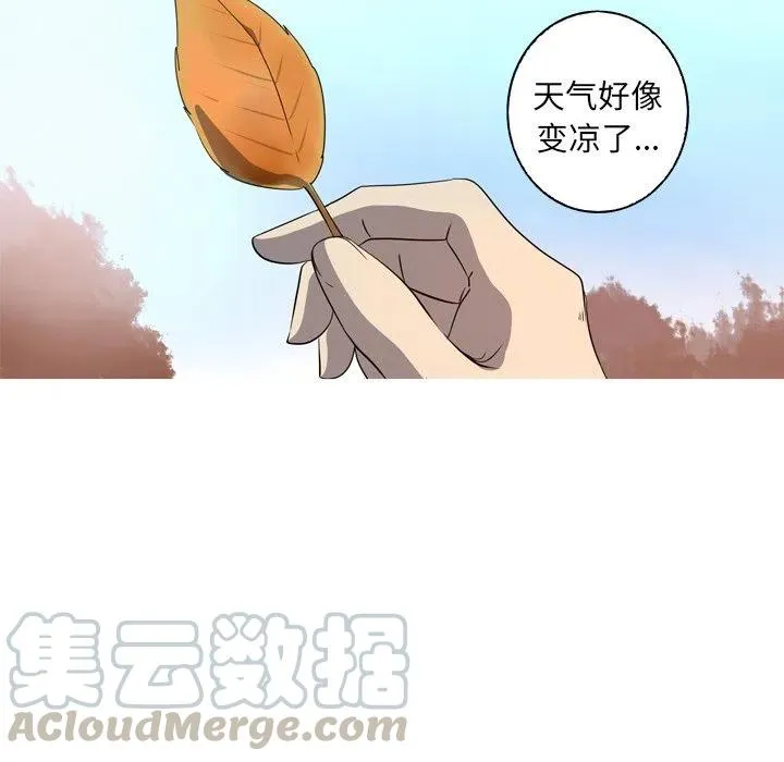 27 第64页