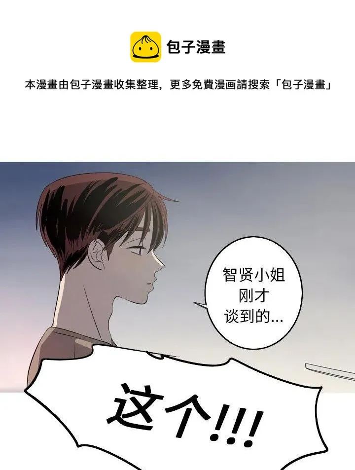 28 第81页