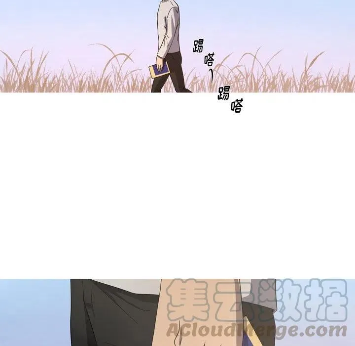 29 第85页