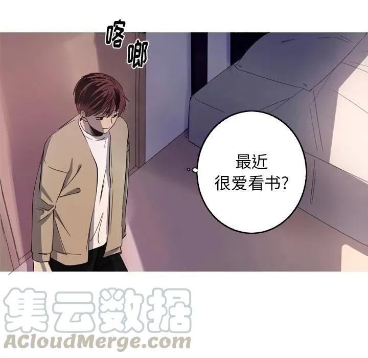 30 第55页