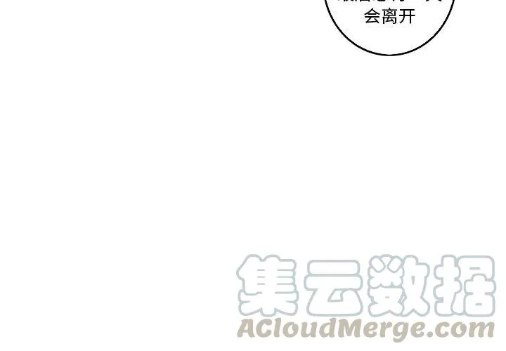 31 第4页