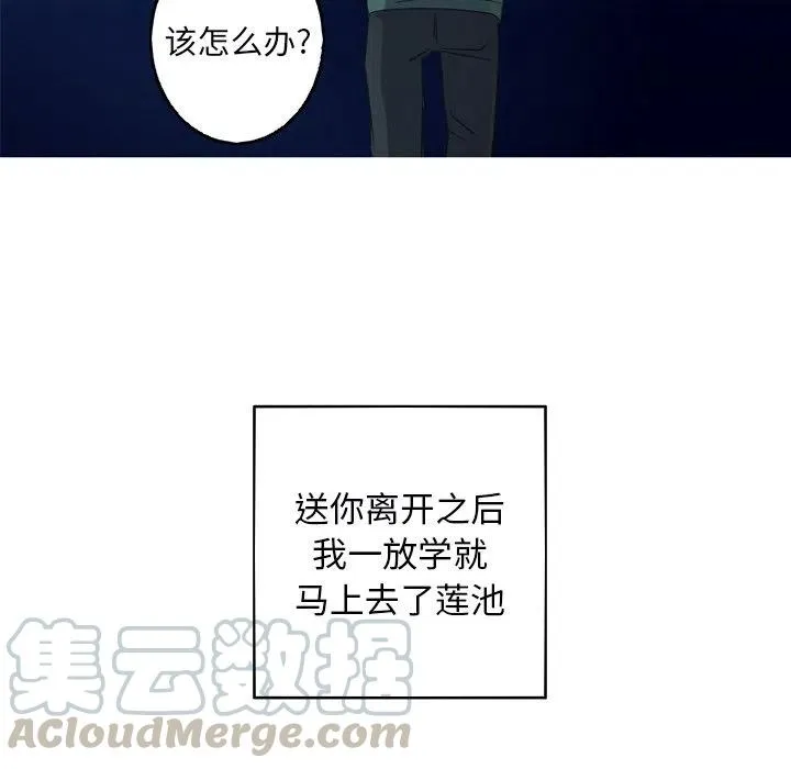 31 第46页