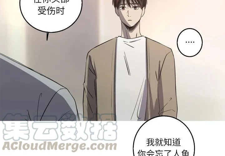 33 第4页