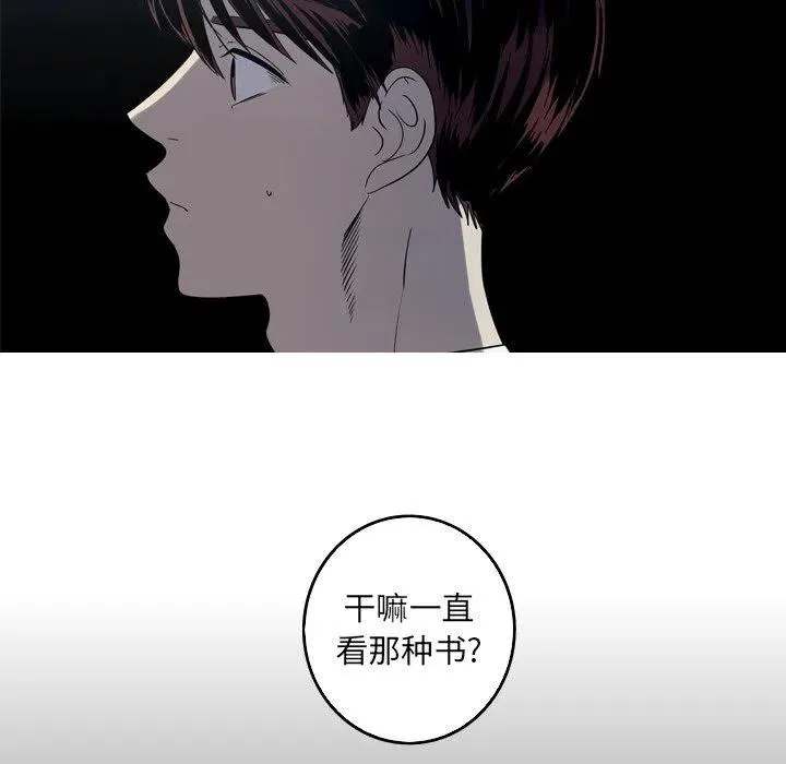 33 第20页