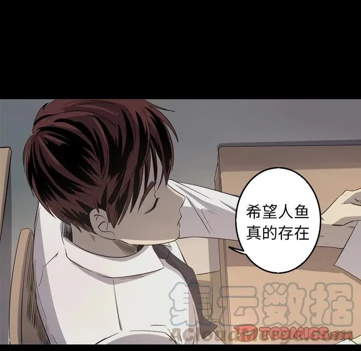 33 第28页