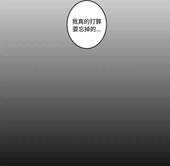33 第41页
