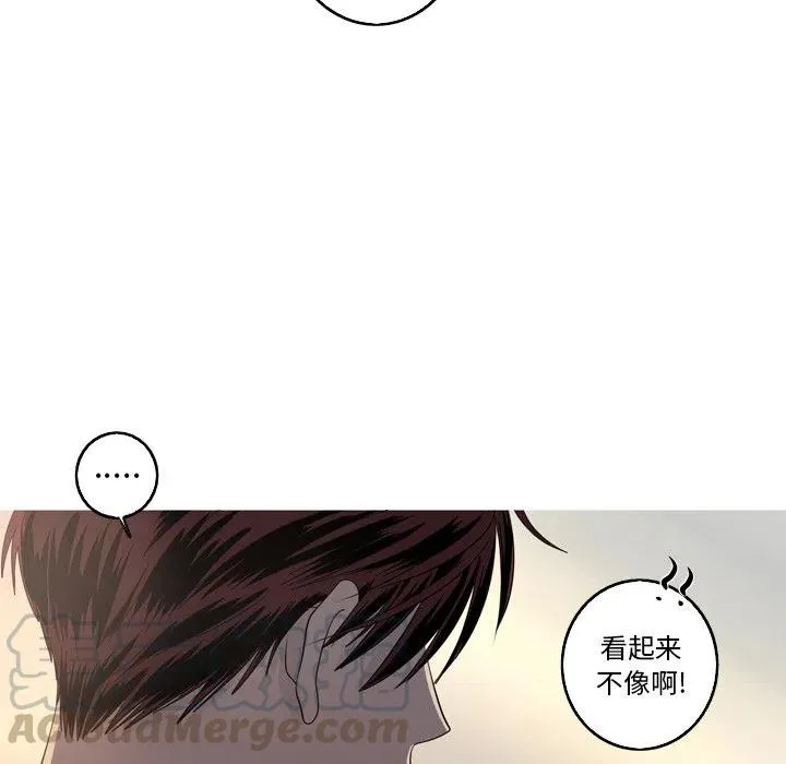 36 第55页
