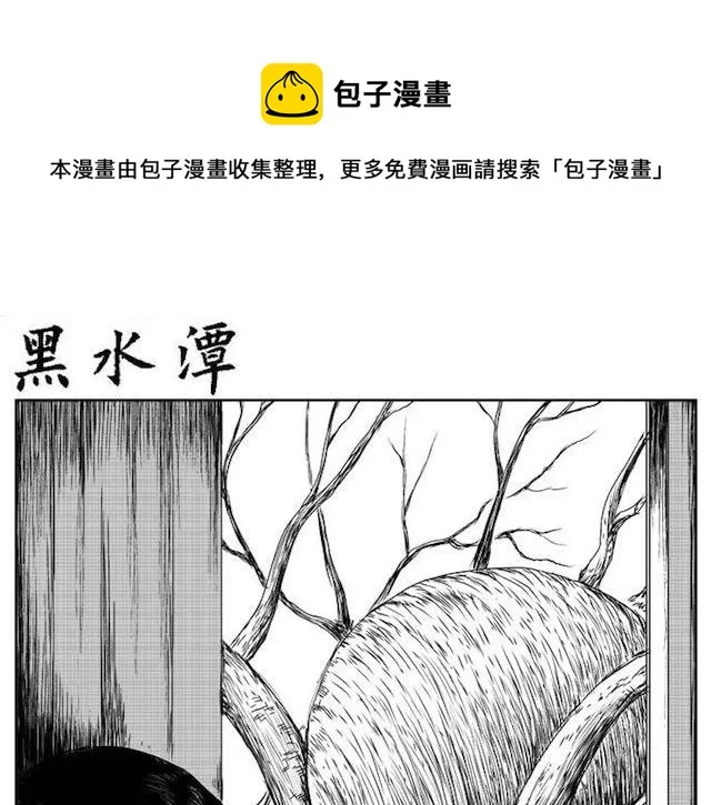 巢 第1页