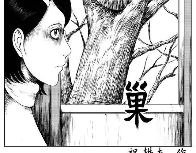 巢 第2页