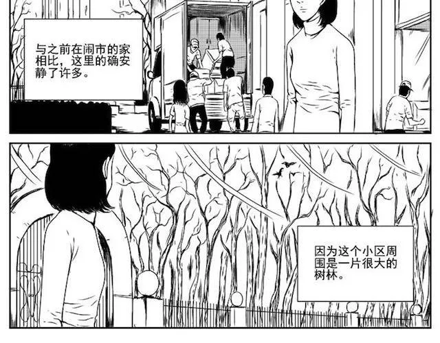 巢 第5页