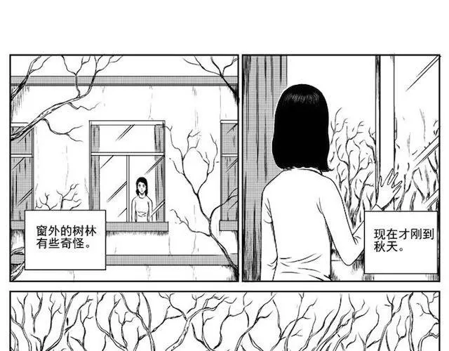 巢 第10页