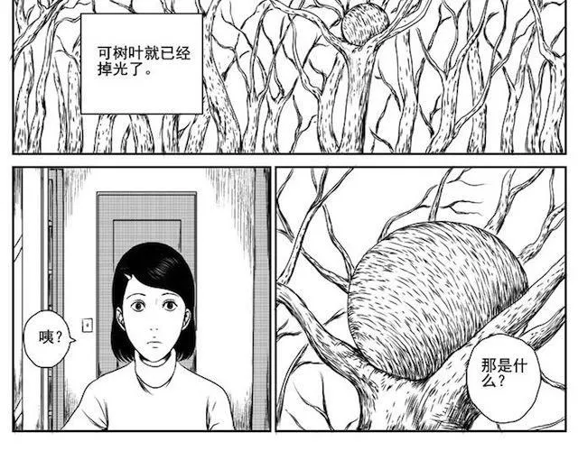 巢 第11页