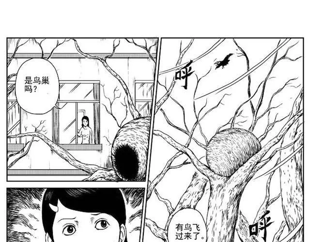 巢 第13页