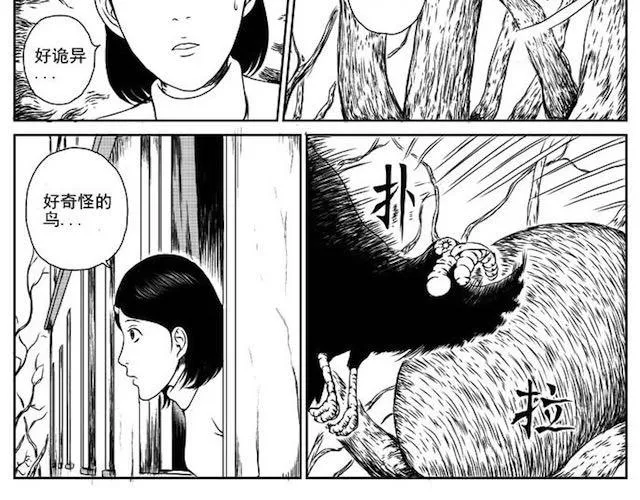 巢 第14页