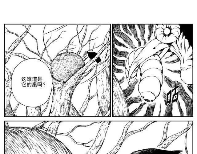 巢 第16页