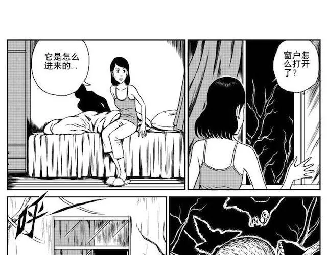 巢 第28页