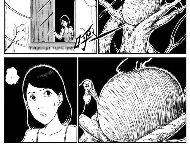 巢 第29页