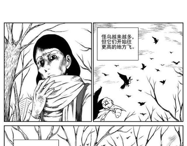 巢 第88页
