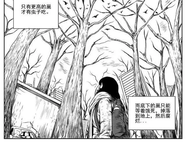 巢 第89页