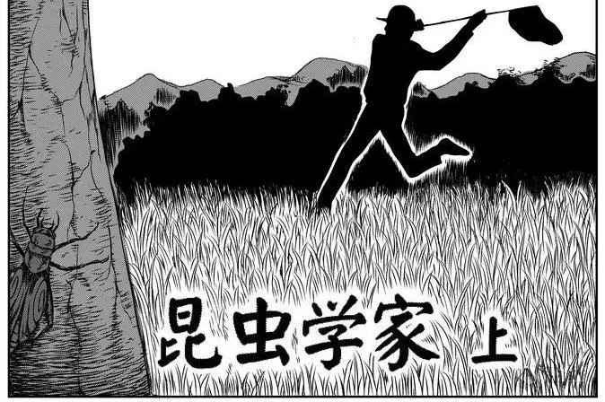 昆虫学家（上） 第2页