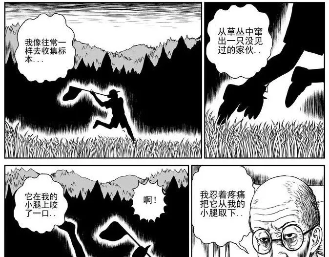 昆虫学家（上） 第21页